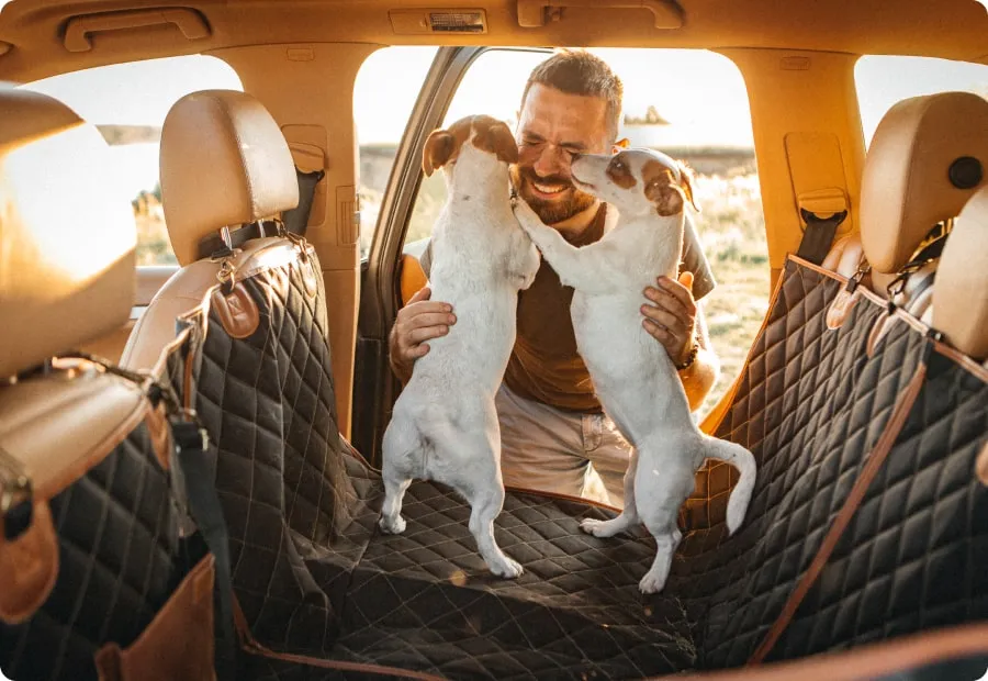 Dog Car Seat Cover – DogFanaticsPiece
