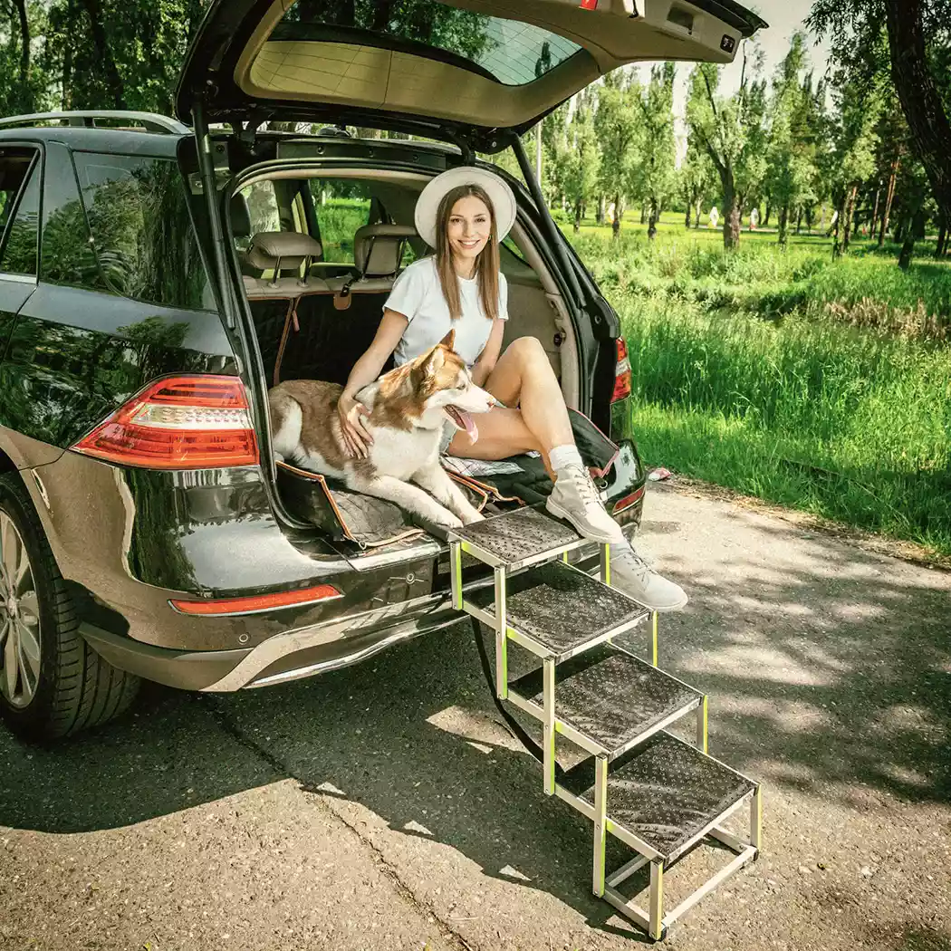 Image of Doggy Ramp  |  “Tailgate” by Owleys - view 0 (product view)