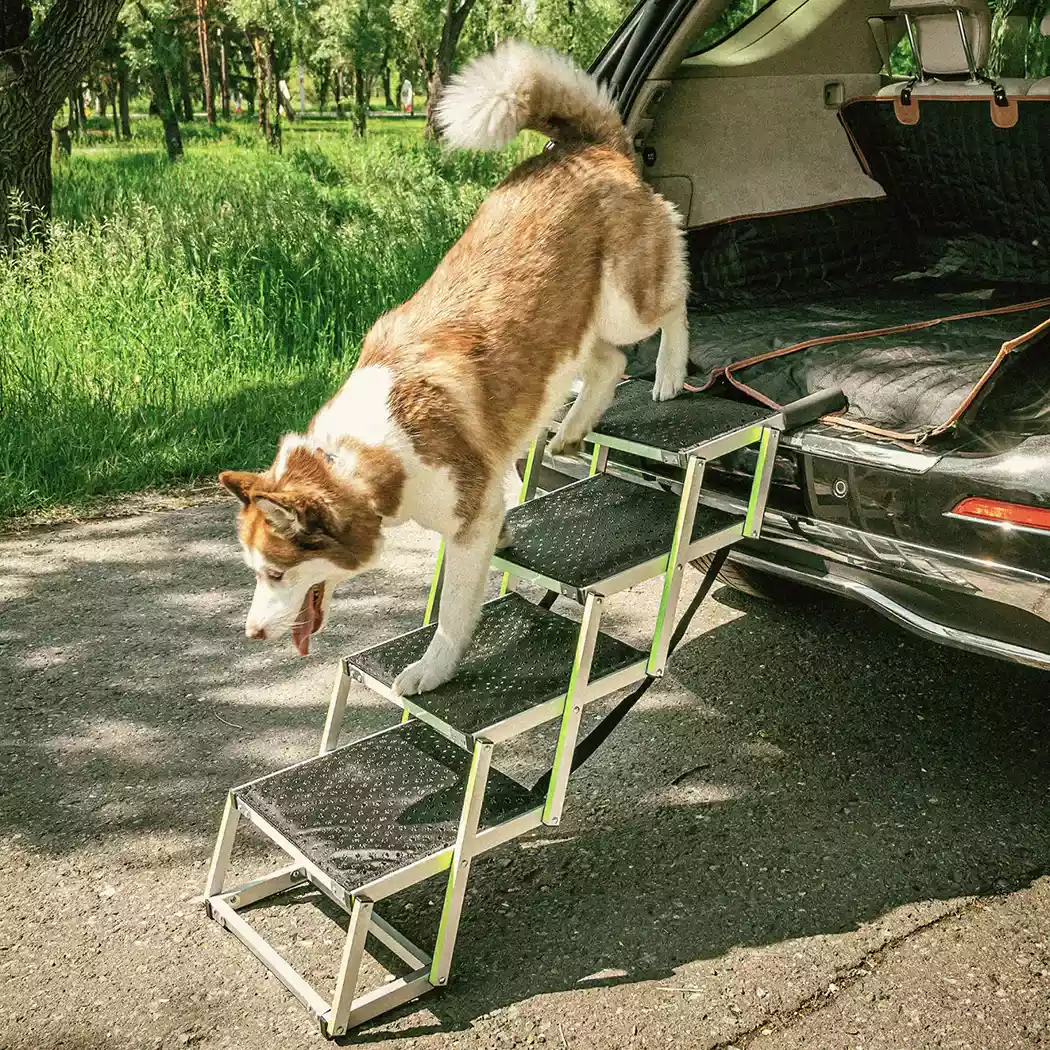 Doggy Ramp  |  “Tailgate” by Owleys product image 8 (product view)