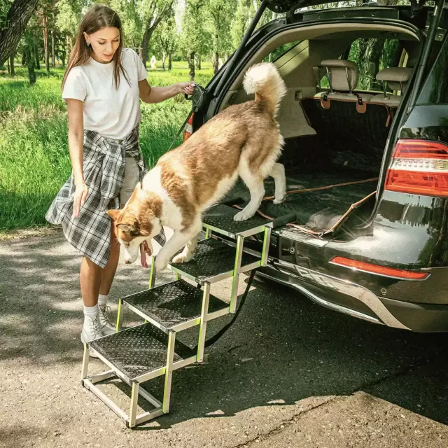 Close-up of Doggy Ramp  |  “Tailgate” by Owleys - view 7 (product view)