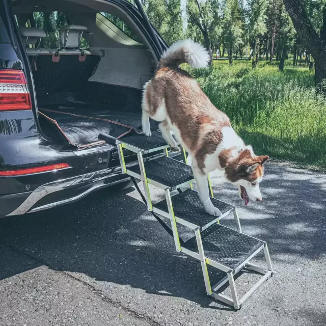 Close-up of Canine Ramp  |  “Tailgate” by Owleys - view 7 (product view)