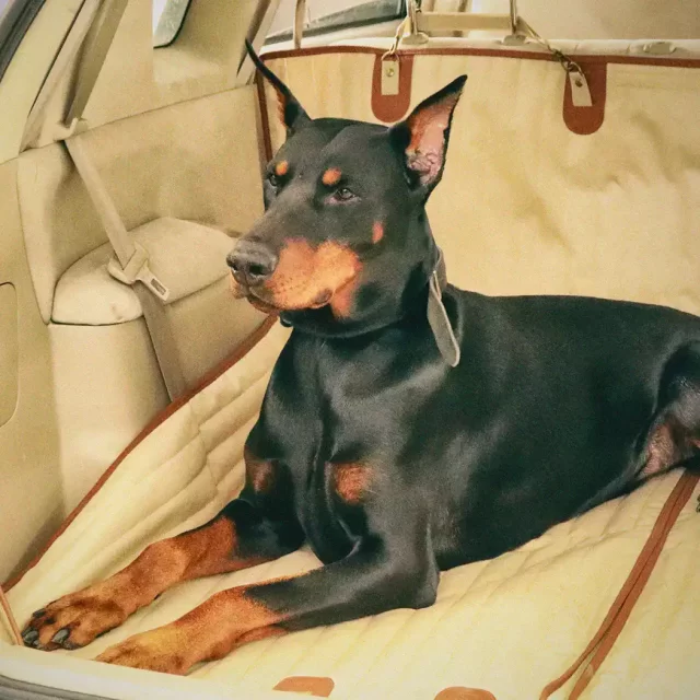 Close-up of Back Seat Cover for Dogs  |  Beige “Travel Buddy Mk. II” by Owleys - view 7 (product view)