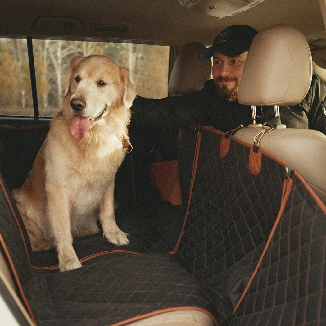 Back seat car cover for dogs best sale