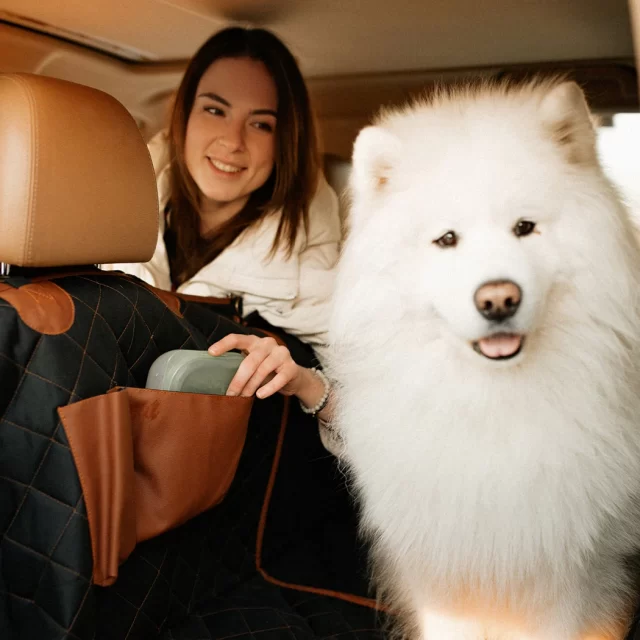 Durable Waterproof Dog Car Seat Cover  |  “Travel Buddy” by Owleys in detail - image 11 (product view)