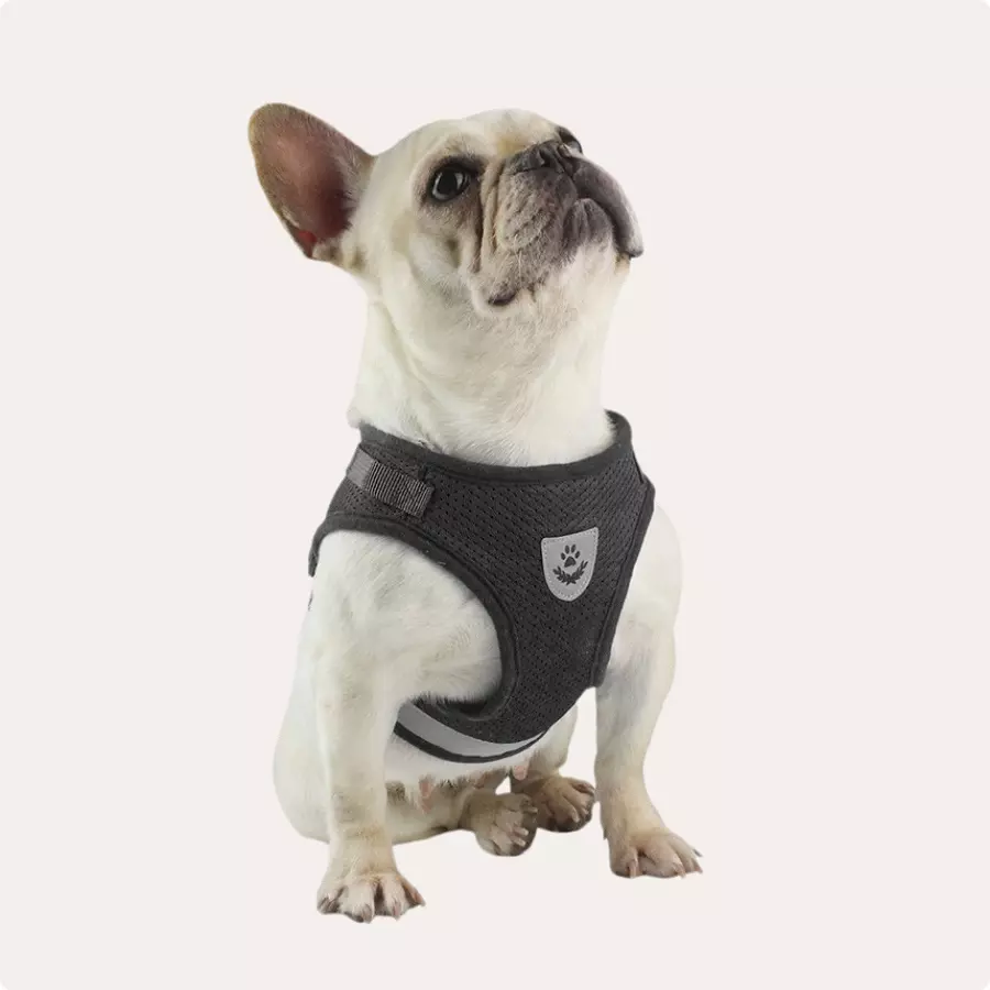 Detailed look at Dog Car Safety Harness  |  Owleys - image 4 (product view)