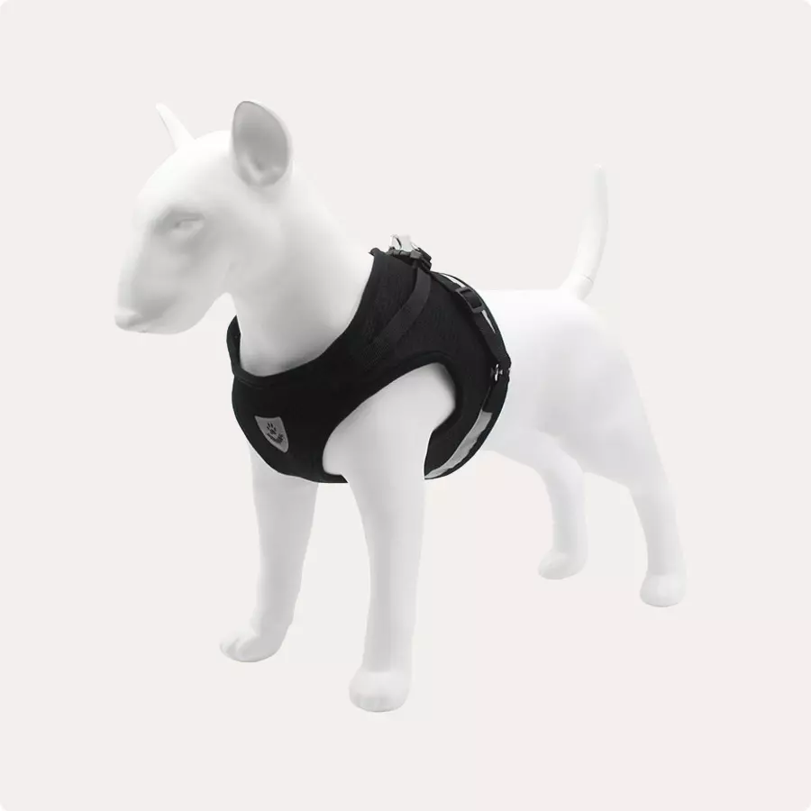 Small Dog Safety Harness Gallery 3