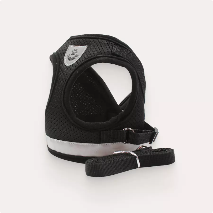 Small Dog Safety Harness Gallery