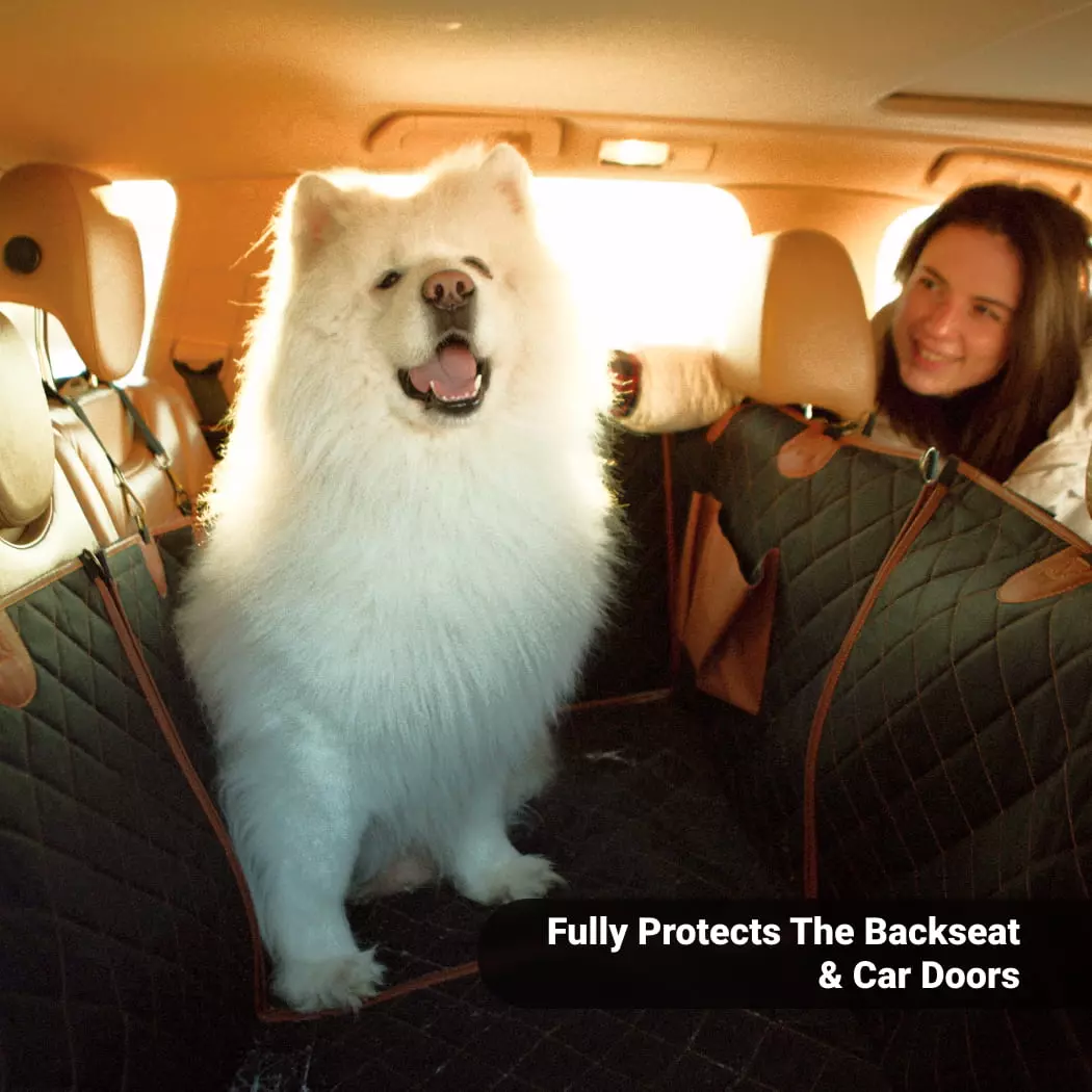 Car Dog Seat Cover Waterproof Scratchproof Black Brown Owleys - View 5