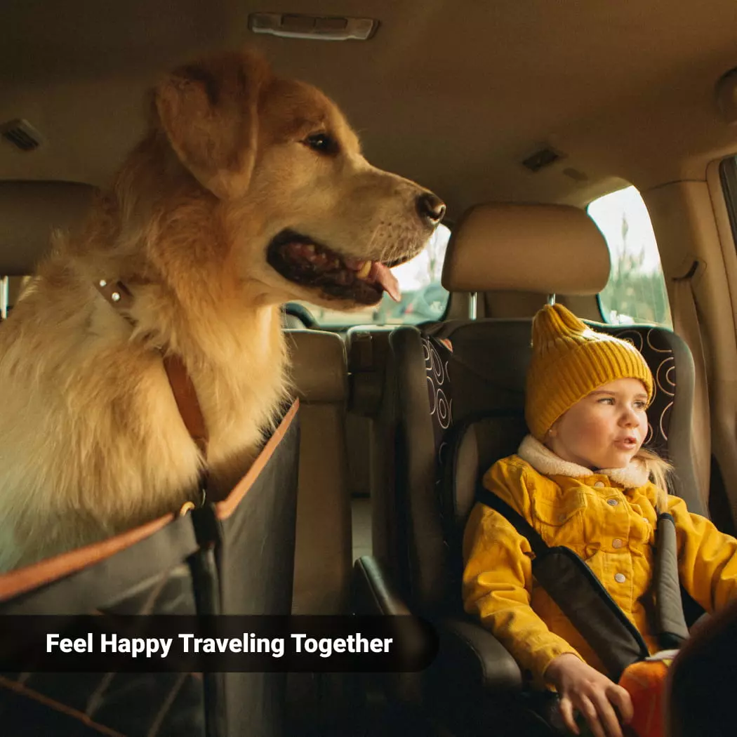 Car Dog Seat Cover Waterproof Scratchproof Black Brown Owleys - View 8