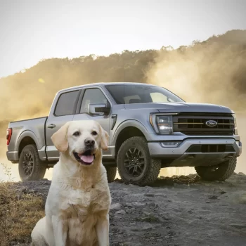 Ford F-150 Dog Seat Cover