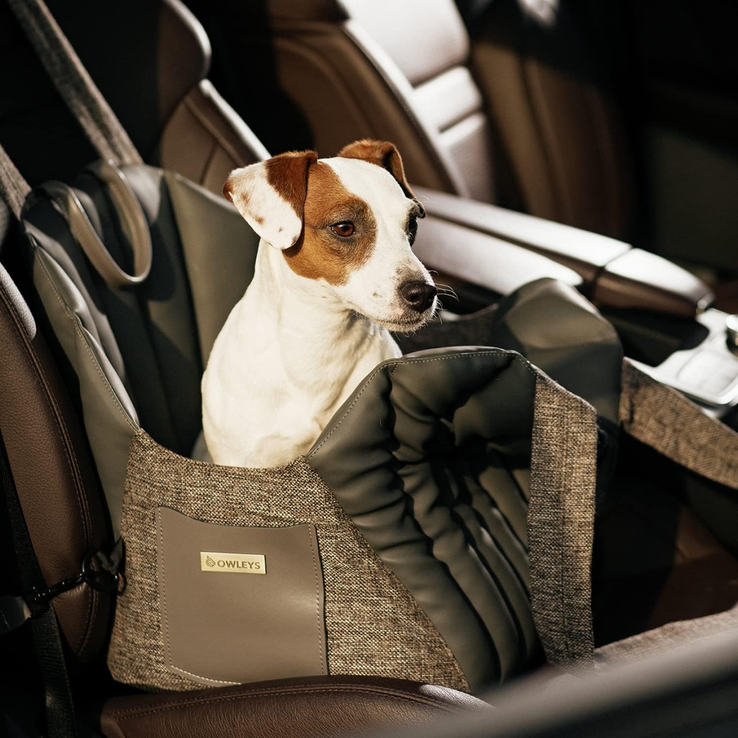 SUV Dog Booster Seat