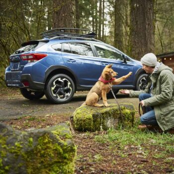 Subaru Dog Seat Cover  |  “Travel Buddy” by Owleys