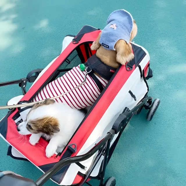 Pet Stroller For Small & Medium Dogs  |  “Mini Mover” by Owleys product image 8 (product view)