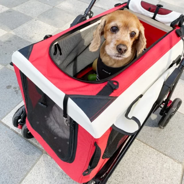 Dog Stroller For Medium Dogs 20 Lbs  |  “Mini Mover” by Owleys product image 8 (product view)