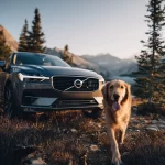 Volvo Dog Seat Cover  |  “Travel Buddy” by Owleys - View 1