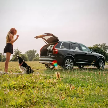 Volvo Dog Seat Cover  |  “Travel Buddy” by Owleys