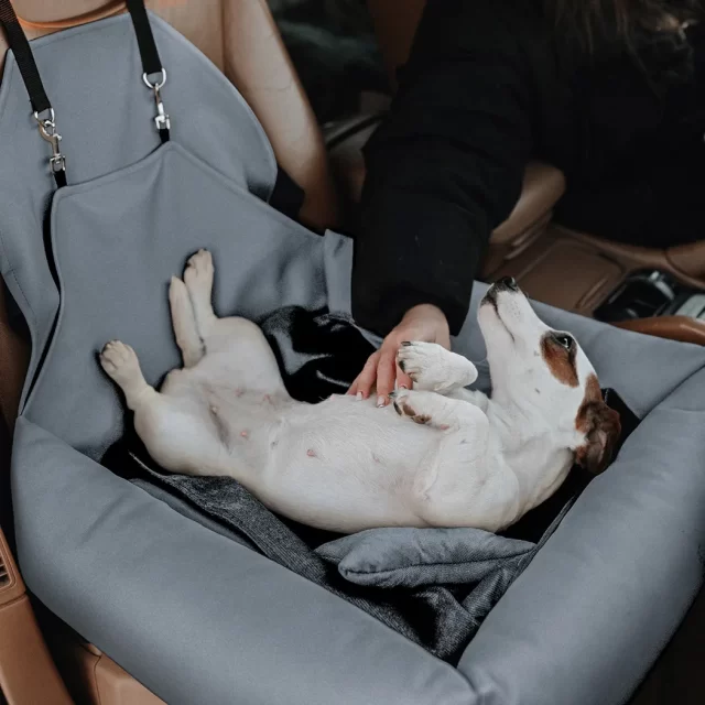 Image of Dog Car Seat  |  Gray “Pup Spot” by Owleys - view 10 (product view)