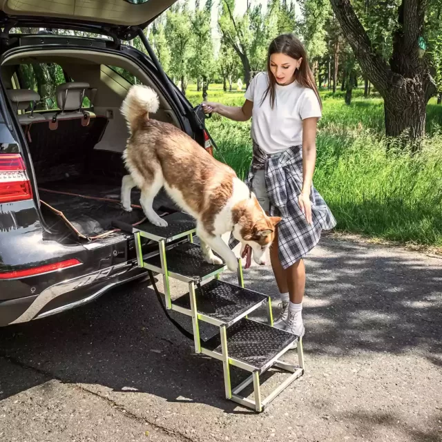 Dog Ramp Into Car  |  “Tailgate” by Owleys