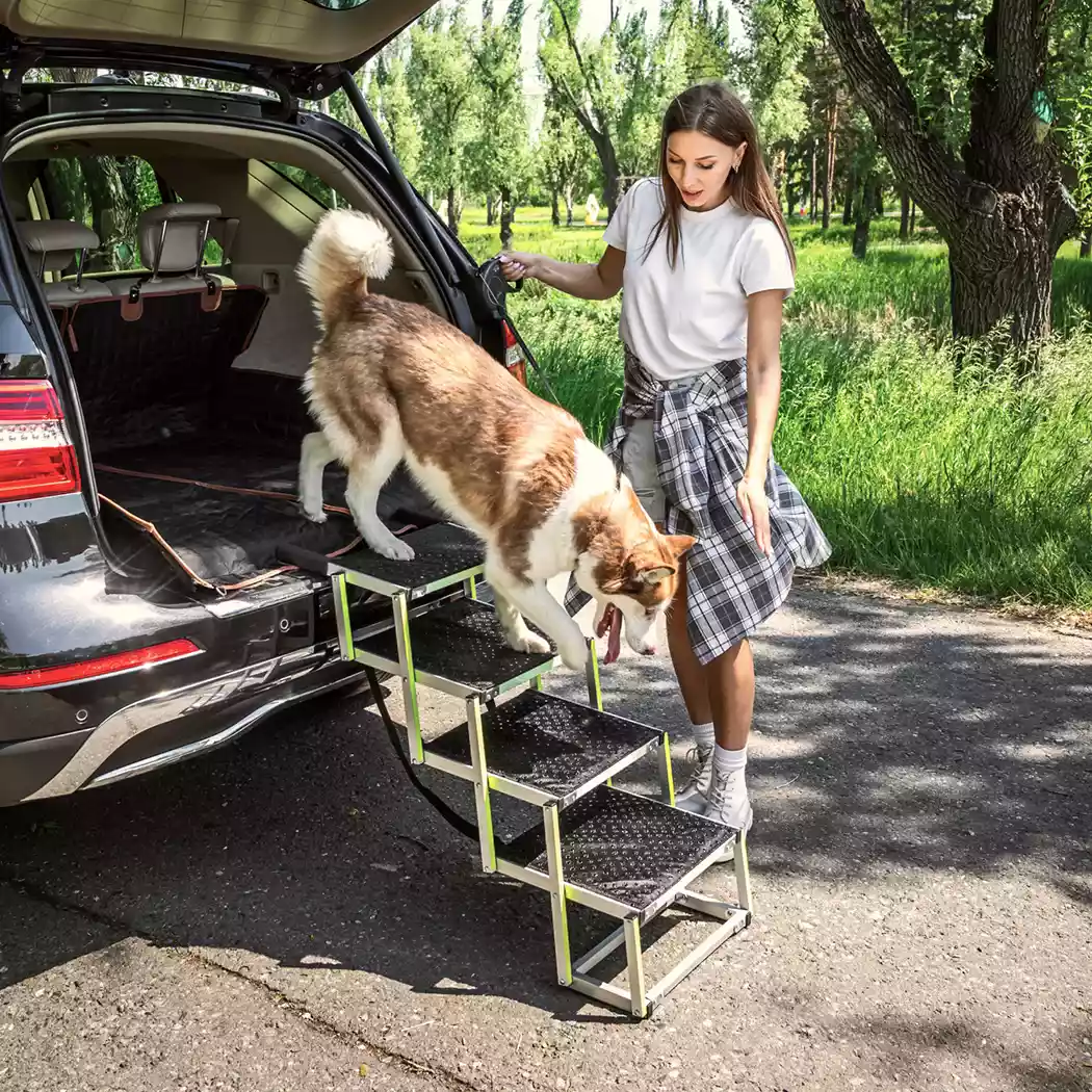 Image of Dog Ramp Into Car  |  “Tailgate” by Owleys - view 0 (product view)