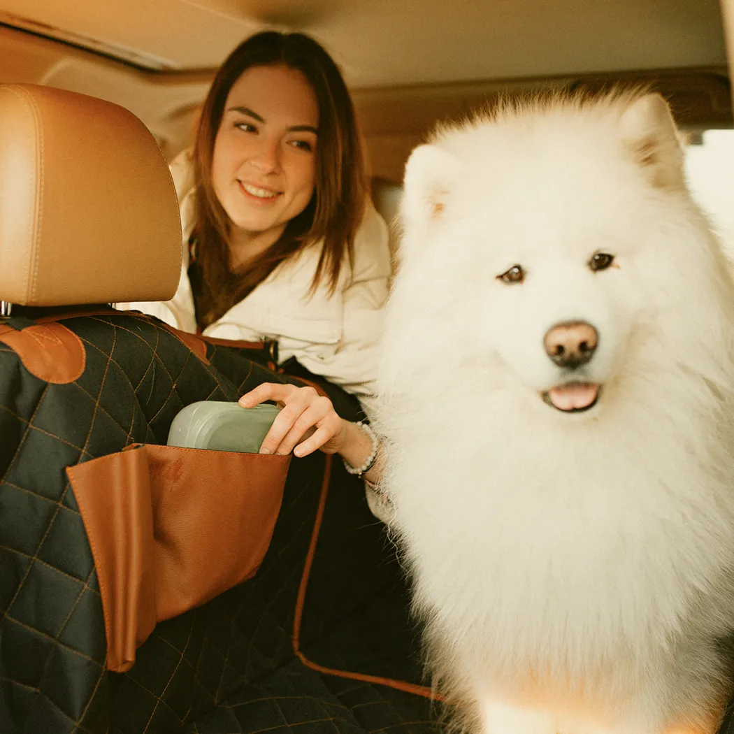 Chevy Equinox Dog Seat Cover product image 8 (product view)