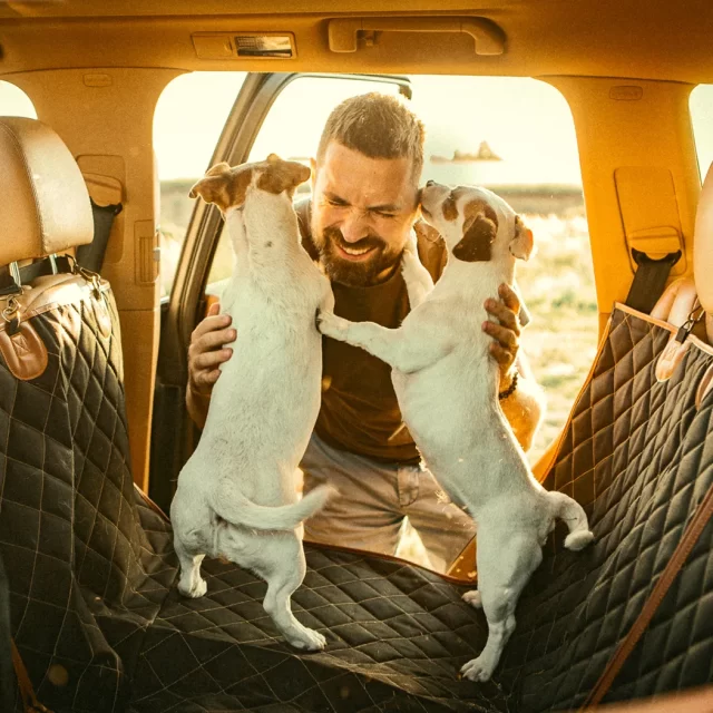 Close-up of Chevy Equinox Dog Seat Cover - view 7 (product view)