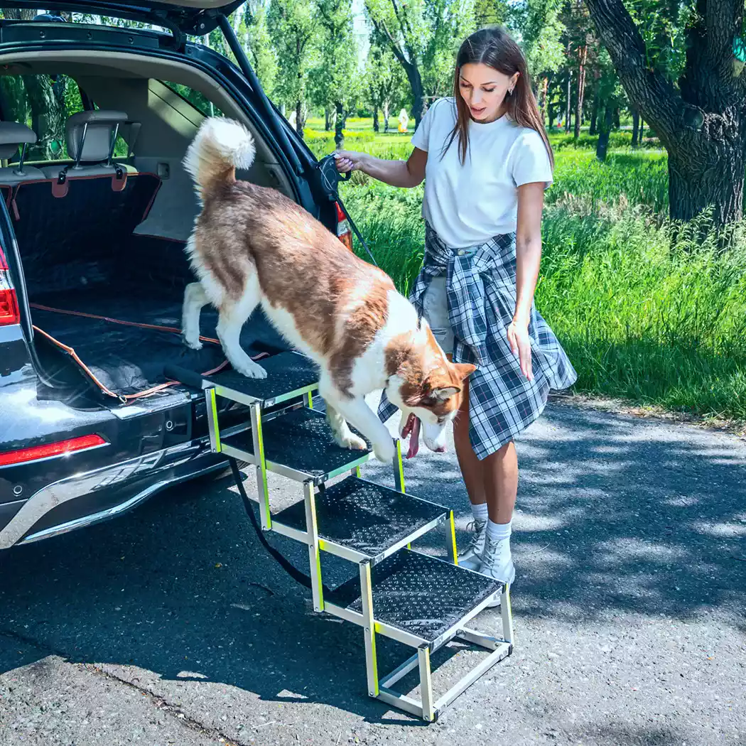 Close-up of Dog Auto Ramp  |  “Tailgate” by Owleys - view 7 (product view)