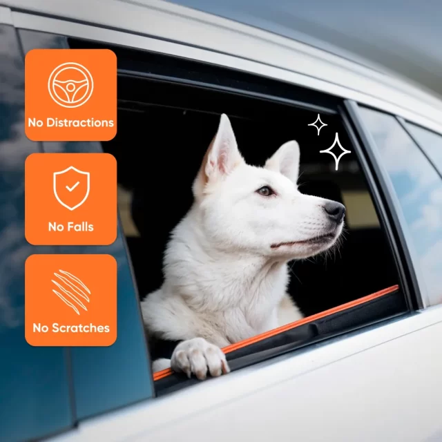 Watch the Hard Bottom Dog Car Hammock | “Travel Buddy Mk. II”