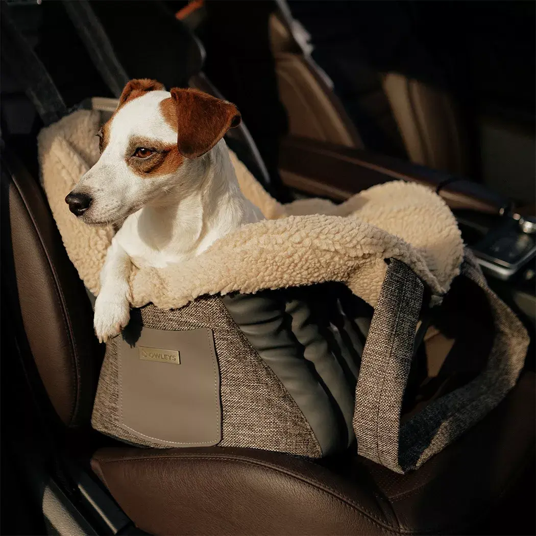 https://owleys.com/wp-content/uploads/2022/11/dog-carrier-featured.webp