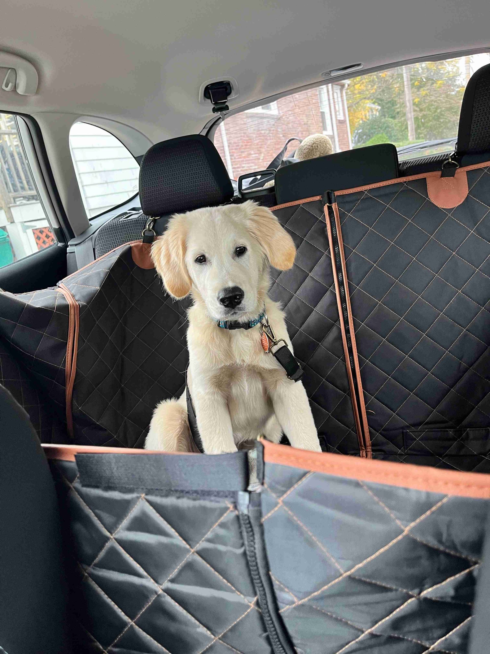Car Dog Hammock Travel Buddy Mk. II Owleys - Owleys