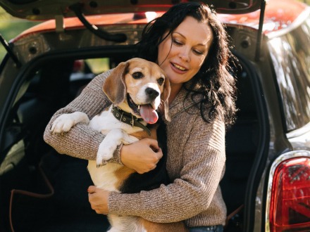 Car Dog Hammock Travel Buddy Mk. II Owleys - Owleys