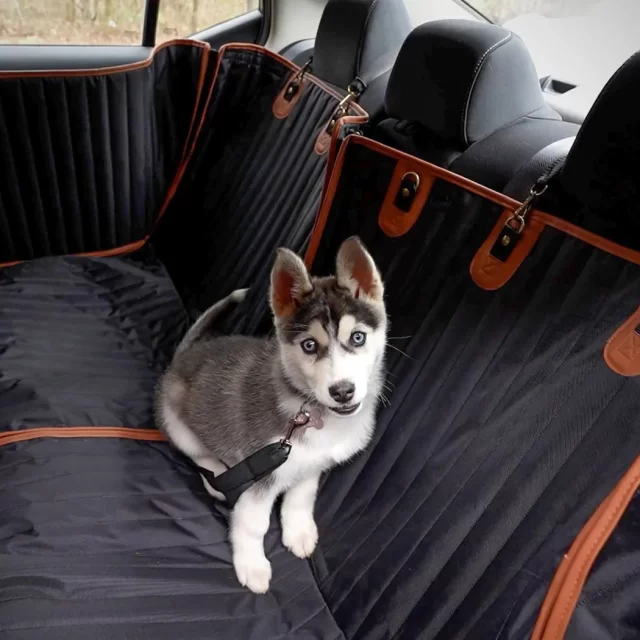 Doggie Seat for Car  |  “Travel Buddy Mk. II” by Owleys