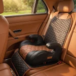 Backless Booster Seat with LATCH  |  “Snug Bug” by Owleys - View 1