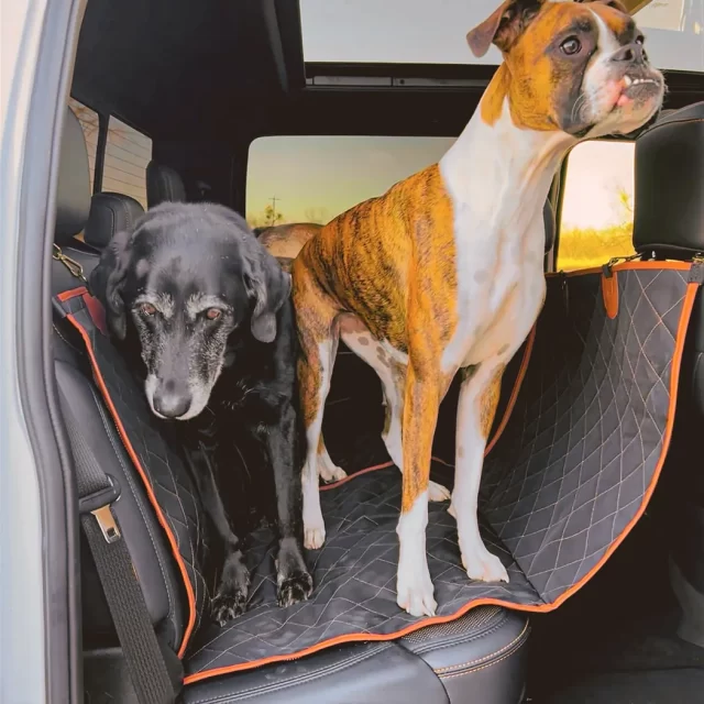 Close-up of Back Seat Dog Seat Cover  |  “Travel Buddy” by Owleys - view 7 (product view)