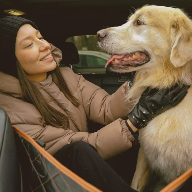 Back Seat Dog Seat Cover  |  “Travel Buddy” by Owleys product image 8 (product view)