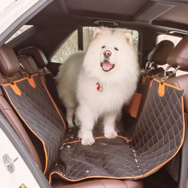 Rear Seat Protector for Dogs  |  “Travel Buddy” by Owleys