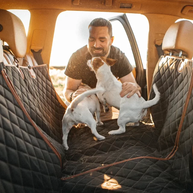 Close-up of Rear Seat Protector for Dogs  |  “Travel Buddy” by Owleys - view 7 (product view)