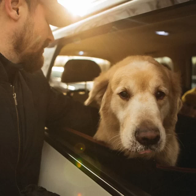 Rear Seat Protector for Dogs  |  “Travel Buddy” by Owleys product image 8 (product view)