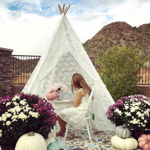 Close-up of Lace Teepee Tent For Parties “Tender” Owleys - view 2 (product view)