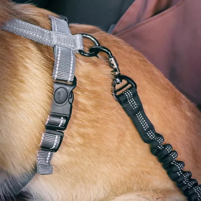 Detailed look at Dog Car Seat Belt  |  “Clipper” by Owleys - image 9 (product view)