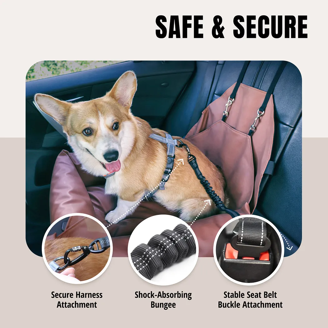 Dog Car Seat Belt  |  “Clipper” by Owleys in detail - image 1 (product view)