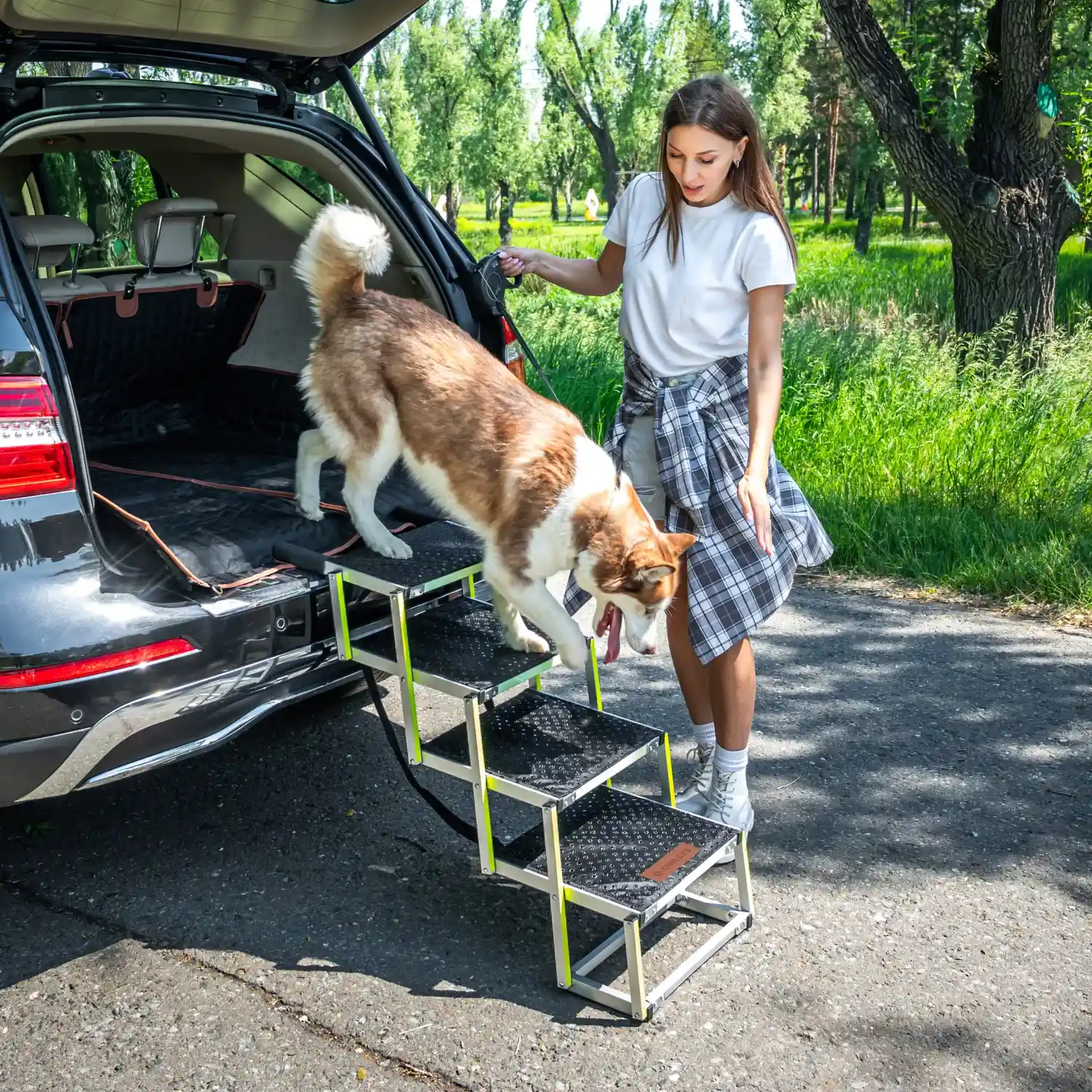 Car Dog Ramp  |  “Tailgate” by Owleys