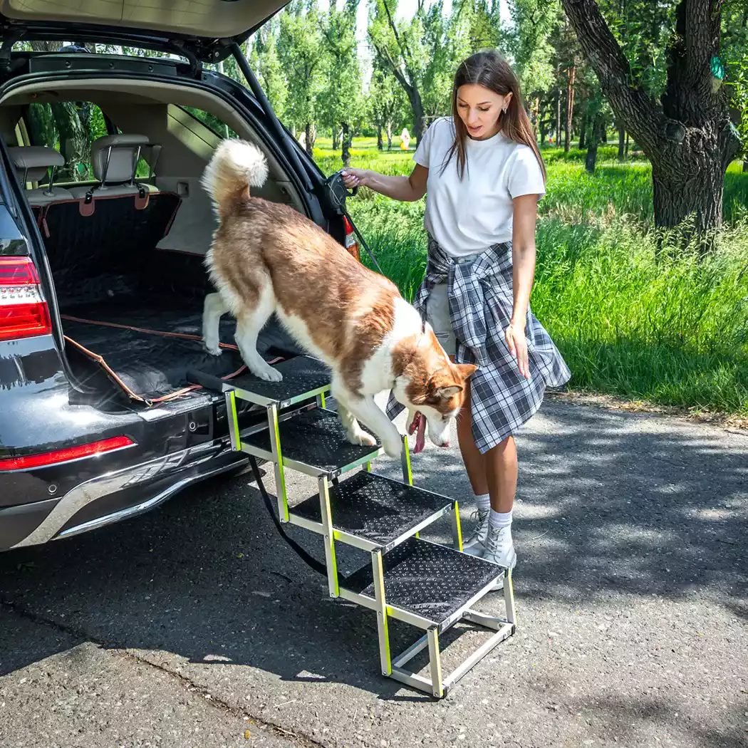 Image of Car Dog Ramp  |  “Tailgate” by Owleys - view 0 (product view)