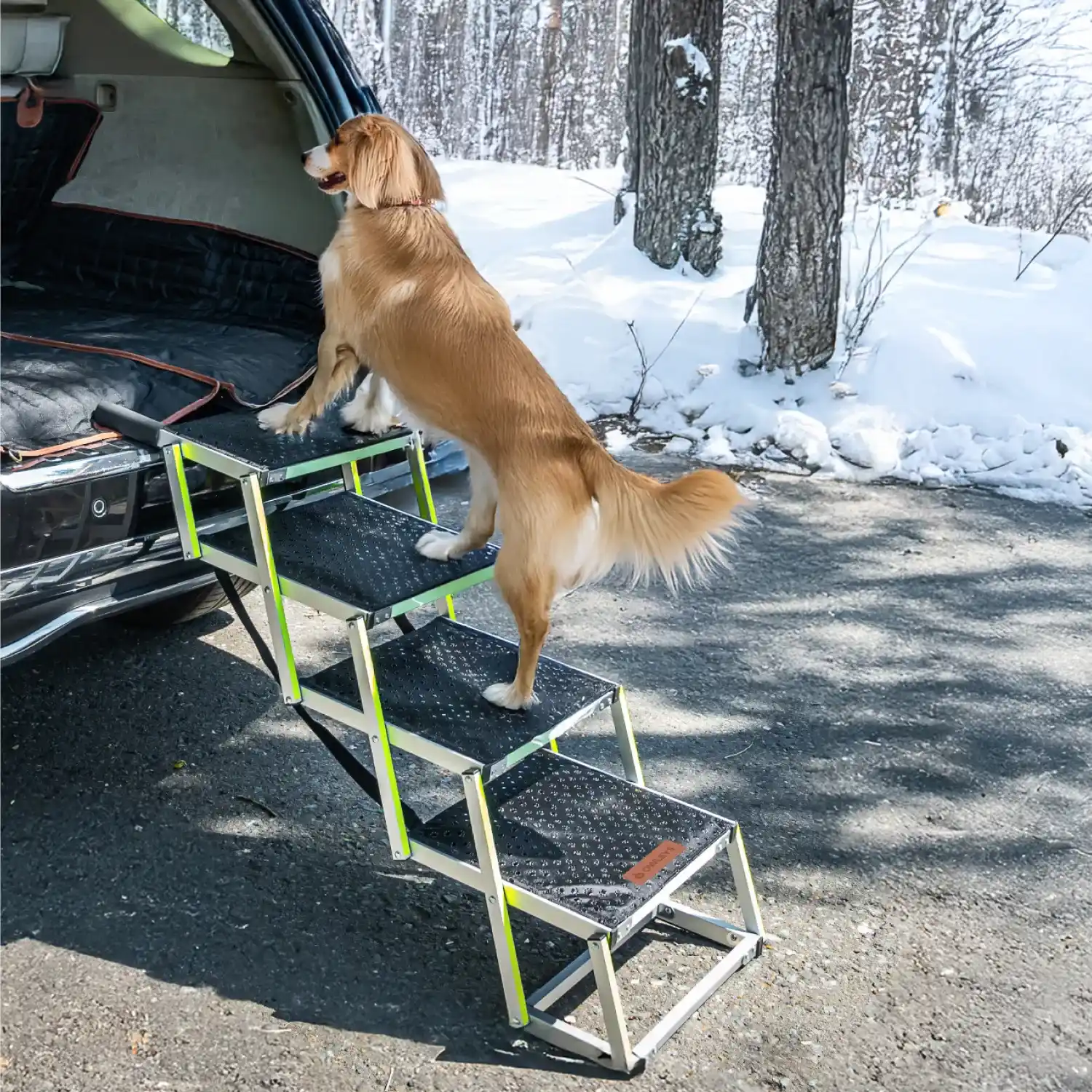 Car Dog Ramp  |  “Tailgate” by Owleys - View 10