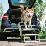 Car Dog Ramp  |  “Tailgate” by Owleys - View 1
