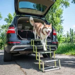 Car Dog Ramp  |  “Tailgate” by Owleys - View 11