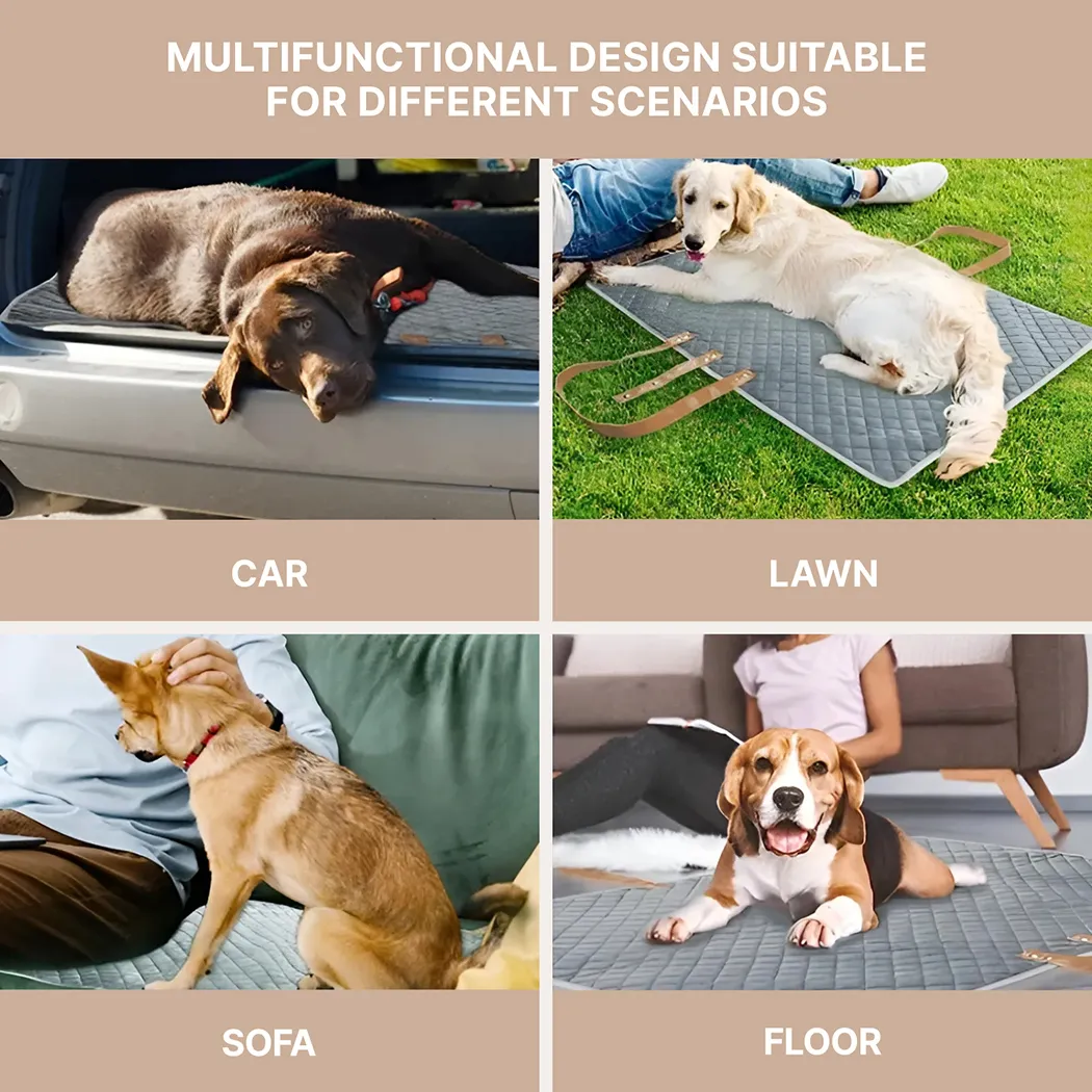 Detailed look at Portable Dog Mat  |  “Pawsome” by Owleys - image 4 (product view)