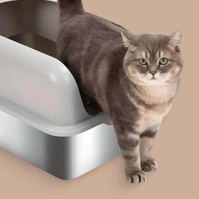 Image of Stainless Steel Cat Litter Box  |  Perfect for Big Cats - view 5 (product view)