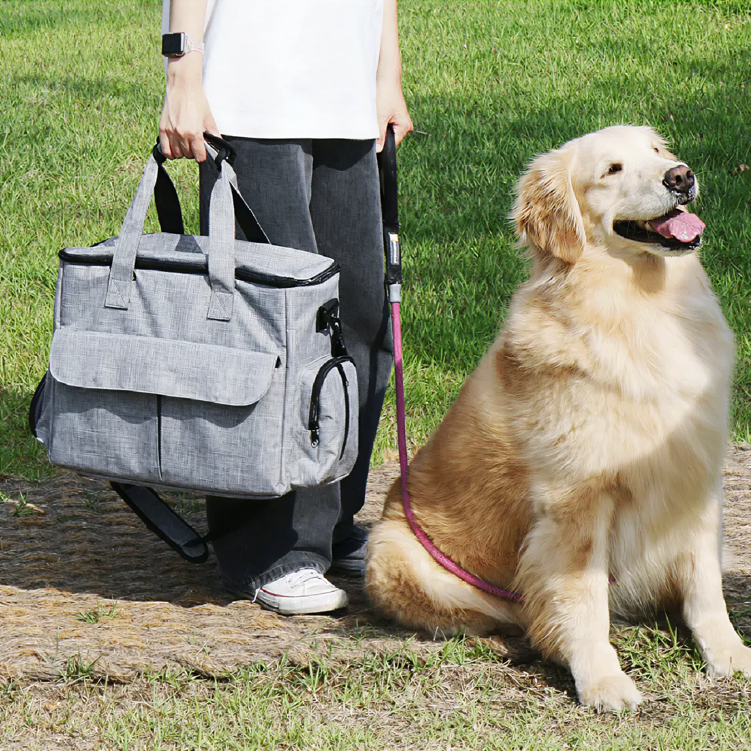 Dog Travel Bag  |  “Pawch” by Owleys – Paw Pal Collection