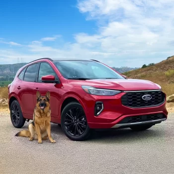 Ford Escape Dog Seat Cover