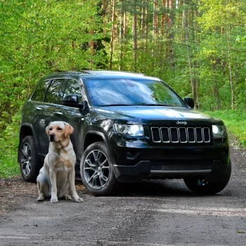 Jeep Grand Cherokee Dog Seat Cover